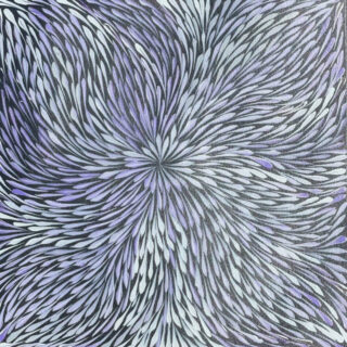 Sacha Long Petyarre Wild Flowers